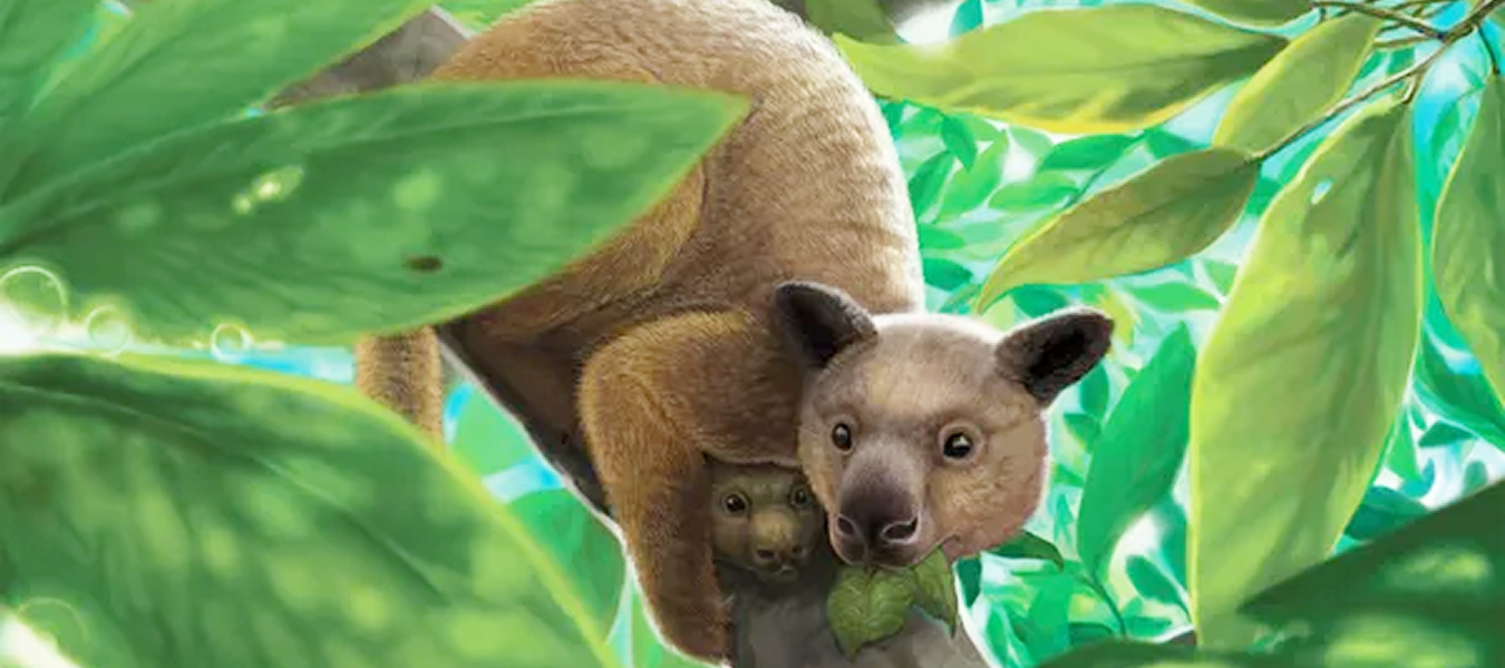 วิธีเล่น The Search for Lost Species